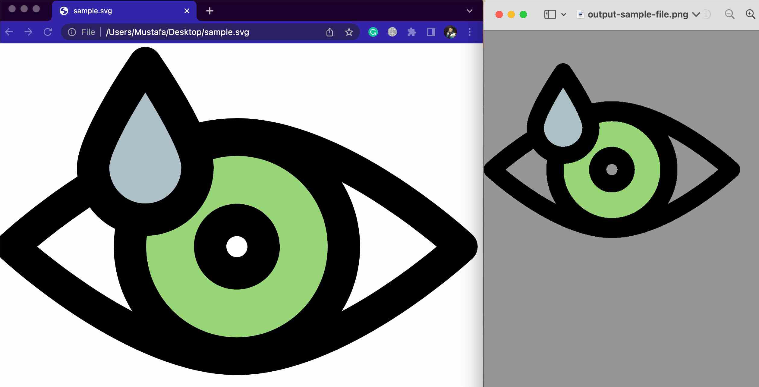 convert svg to png