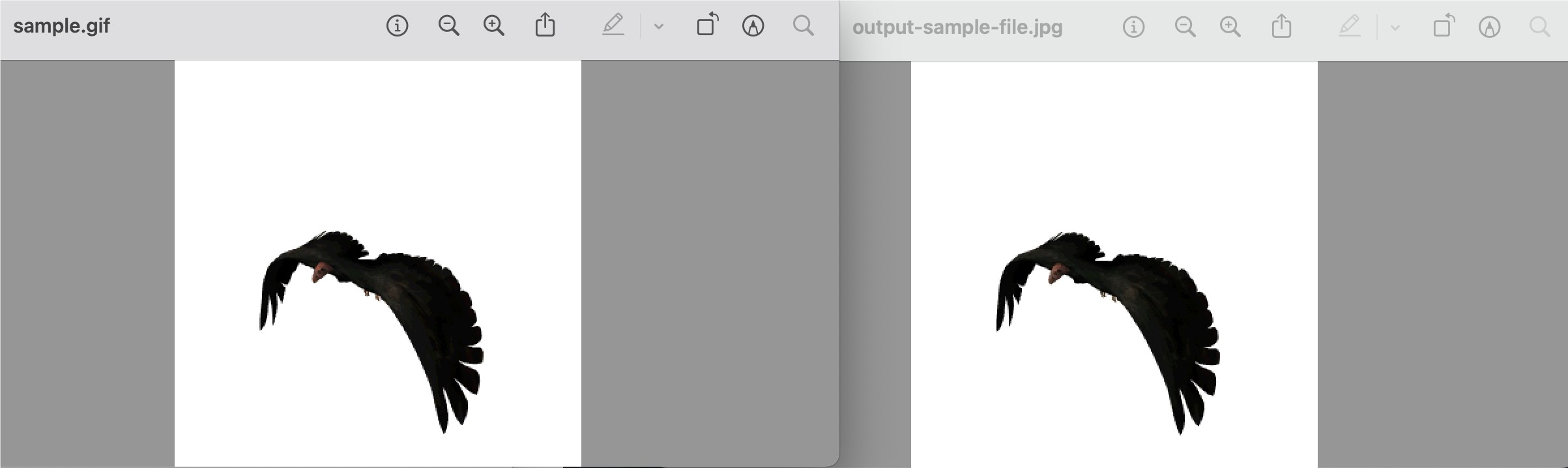gif animado para jpg