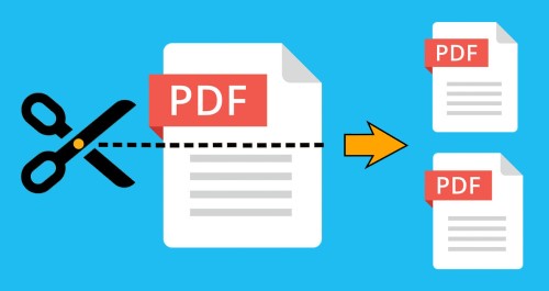 从 PDF 中提取特定页面